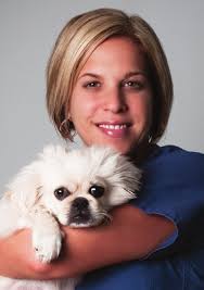 metropolitan veterinary associates