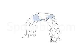 Wheel Pose Urdhva Dhanurasana Wheel Pose Yoga For Flexibility Workout Guide
