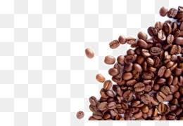 Coffee Beans Png Coffee Beans Cliaprt Cleanpng Kisspng When designing a new logo you can be inspired by the visual logos found here. coffee beans png coffee beans cliaprt