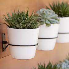 A wall planter is a small container or pot that is meant for it can hang from a hook in the ceiling or you hang it against a wall. Wall Planter Hook Reviews Crate And Barrel
