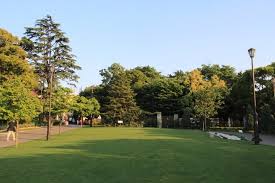 アメリカ山公園 - 横浜市、アメリカ山公園の写真 - トリップアドバイザー