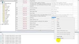 Lingobit Localizer 7 1 عملاق تعريب البرامج مع شرح تعريب برنامج Youtube