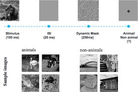 Our pli sample test consists of 50 multiple choice questions to be answered. Integrated Cognitive Assessment Speed And Accuracy Of Visual Processing As A Reliable Proxy To Cognitive Performance Scientific Reports