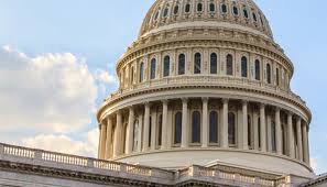 2024 election outlook