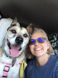 Alguien acaba de disparar fuegos artificiales y me estresé momentáneamente  porque aterrorizaron a Ivy 🫠 Sookie ni Enzo se preocupan 🎆