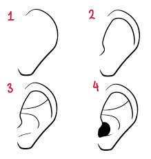 Do not be afraid to learn new things. How To Draw Ears By Lily Draws On Deviantart