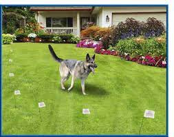 If so, installing an electric dog fence is worth considering for total pet containment. X 10 Rechargeable Multi Function Electric Fence Upgrade Kit No Wire Or Flags