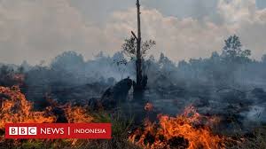 Maybe you would like to learn more about one of these? Empat Provinsi Darurat Kebakaran Hutan Di Tengah Ancaman Presiden Jokowi Bbc News Indonesia