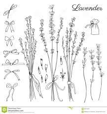 Bullet Journal Drawing Idea Lavender Drawing Lavender Bunch Drawing Bow Drawings Bullet Journal Layout Bullet Journal Doodles Bow Drawing