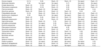 Image result for Grewia conocarpoides