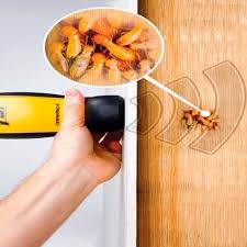 You will get our local gold coast, qld termite inspection experts contacts in your town online or get recommendations from family or friends. Pest Control Gold Coast Termite Treatment Bug Squad