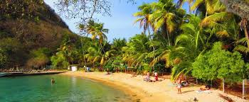 A Voir A Faire Les Excursions En Guadeloupe Tropicalement Votre