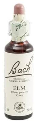 La terapia con flores de bach es una alternativa excelente para el tratamiento de la ansiedad. Flores De Bach Como Controlar La Ansiedad Con Remedios Naturales 2020