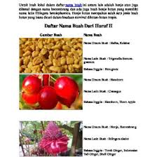 Bunda, memilihkan nama bukanlah sebuah hal yang terbilang mudah. Daftar Nama Buah Dari Huruf F Jlk97xprkz45