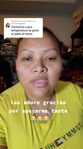 A Que Temperatura Interna Pollo