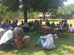 Image result for Gutenbergia rueppellii