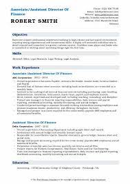 Ensures timely and efficient delivery of services; Assistant Director Of Finance Resume Samples Qwikresume