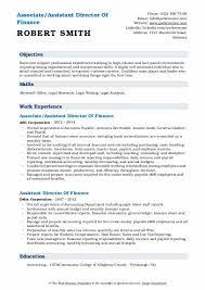 It may be amended however from time to time in consultation with you, by or on behalf of the director of turner contemporary without change to the level of responsibility appropriate to the. Assistant Director Of Finance Resume Samples Qwikresume