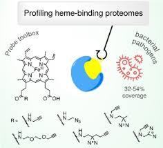 Image result for Heme