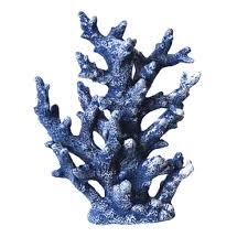 Corals are marine invertebrates within the class anthozoa of the phylum cnidaria. Kunstliche Korallen Pflanze Aquarium Kaufland De