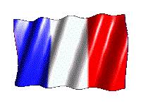 # france cartoon flag png & psd. French Flag Gifs 23 Animated Tricolor Images For Free