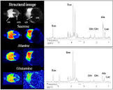 Image result for ‫دانلود کتاب اسپکتروسکوپی مولکولی‬‎