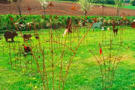Wackers Paradiesgarten Ausstellungsflache Edelrost Kletterpflanzen