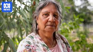 Katherine reports rise in transient visitors since return of Alice Springs  alcohol restrictions