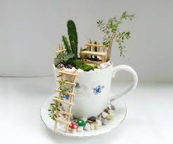 There are a few different ways to propagate succulents. Diy Cup Garden 9 Steps With Pictures Instructables