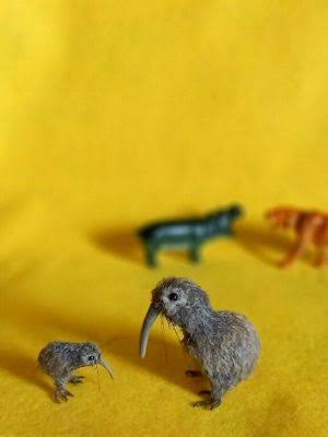 40 kiwi birds on Tedsby