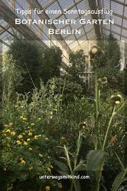 Kurzt Ipp Botanischer Garten Berlin Mit Kindern Botanischer Garten Berlin Botanischer Garten Reisen
