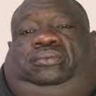 100+ "Hasselhoff" profiles