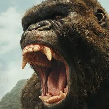 King kong has put on some inches since 2017's kong: Kong Skull Island Omits The Most Important Part Of King Kong S Story Vox