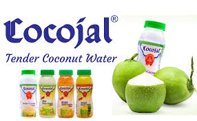 Including coconut oil in your dietary and beauty regime regularly will show you favorable and noticeable results. Cocojal Natural Tender Coconut Water 200ml Pack Of 6 Amazon In Grocery Gourmet Foods