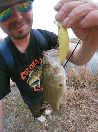 Are there any telescopic rods that are actually OK or are they all crap?