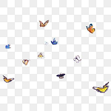 Pin En Mariposa