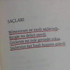 Saclari Bilmiyorum Ne Vardi Saclarinda Ruzgar Mi Delice Eserdi Gozlerim Mi Oyle Gorurdu Yoksa Saclarinin Her Haali Hosuma Kitap Kitap Alintilari Alintilar