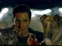 La Rosa de Guadalupe