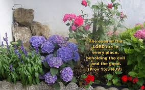 We did not find results for: Bible Quotes About Flowers Quotesgram