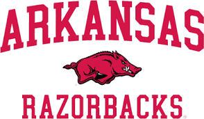 Image result for arkansas razorbacks