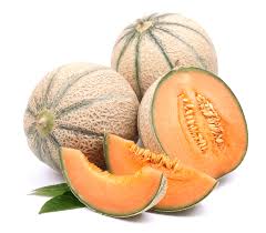 Check spelling or type a new query. Melon Alchetron The Free Social Encyclopedia