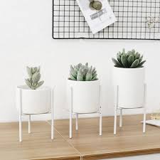 Feb 03, 2021 · above all else, the main bedroom should radiate romantic vibes (and not just for aesthetic purposes). 15 Perfect Plants For Minimalists Juniperoats