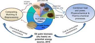 The Potential Of The Malaysian Oil Palm Biomass As A Renewable Energy Source Sciencedirect
