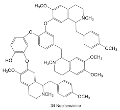 Image result for Nectaropetalum carvalhoi