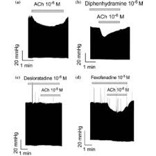 Pdf Antimuscarinic Actions Of Antihistamines On The Heart