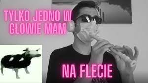 Tylko Jedno W Glowie Mam Na Flecie D Youtube Tanczaca krowa tylko jedno w glowie mam (doomer wave). tylko jedno w glowie mam na flecie d