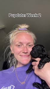 Pupdate Week 2 ft. Destiny, Bruce, and Squirt. Also if you know anyone...