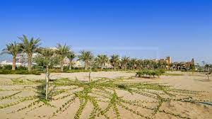 Dubai Freehold Land For Overseas Investors