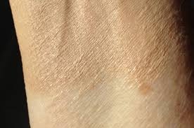 It Cosmetics Your Skin But Better Cc Cream Spf 50 Never Say Die Beauty