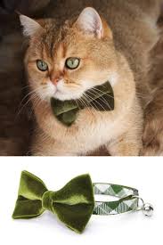 Velvet Cat Bow Tie Leaf Green Vibrant Olive Green Velvet Bowtie Wedding For Cats Small Dogs Removable One Size Cat Bow Cat Bow Tie Pet Bows